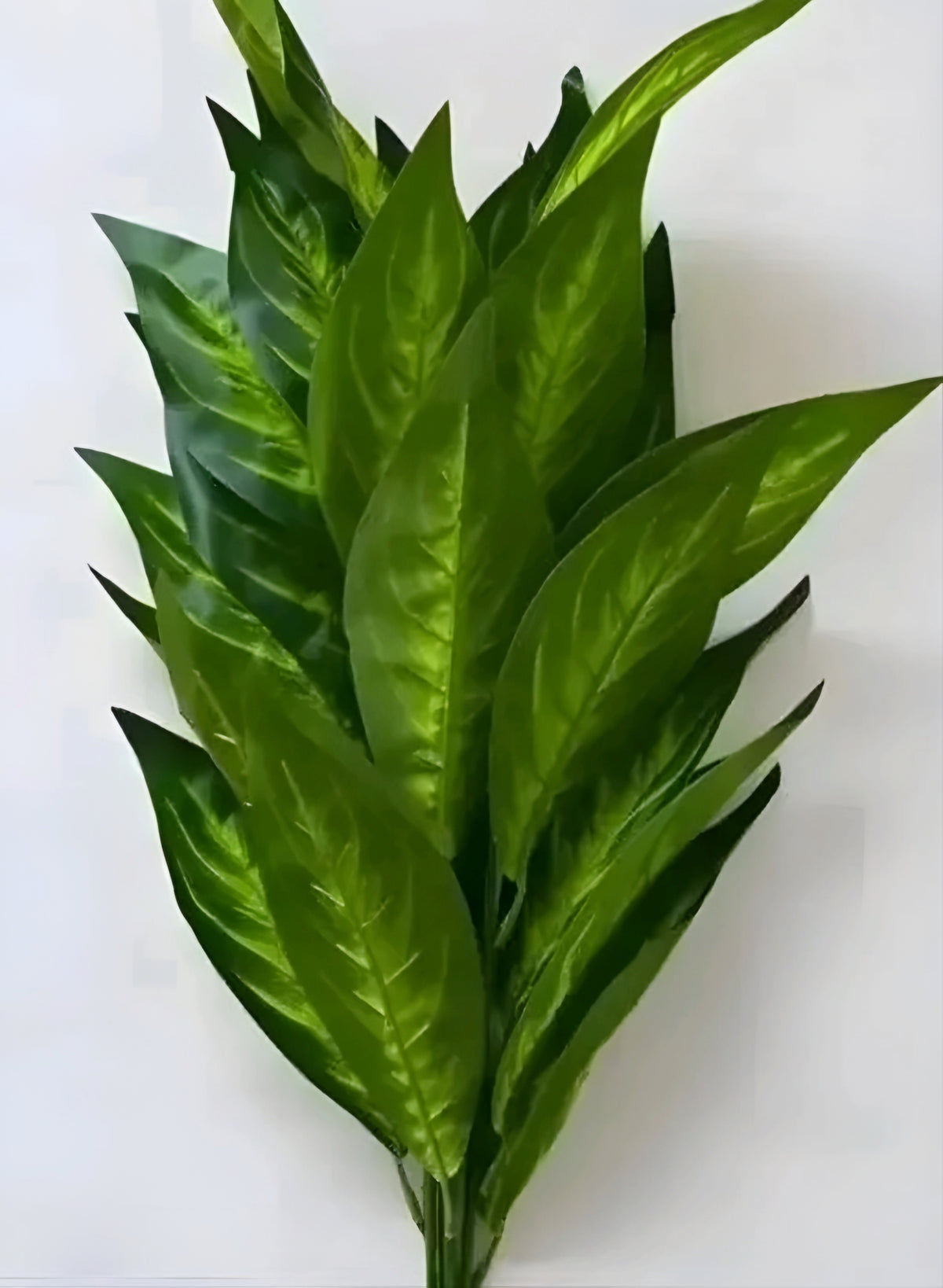 Realistic 26-Leaf Artificial Dieffenbachia Greenery Stem