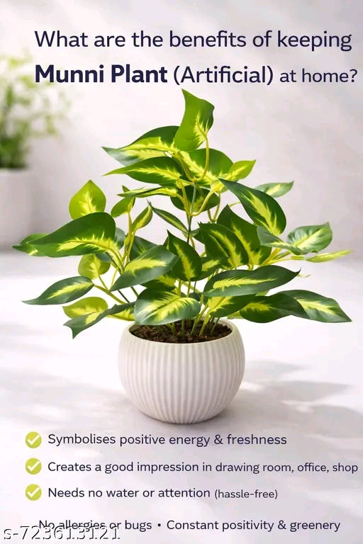 Artificial Money Plant in White Ribbed Ceramic-Look Pot