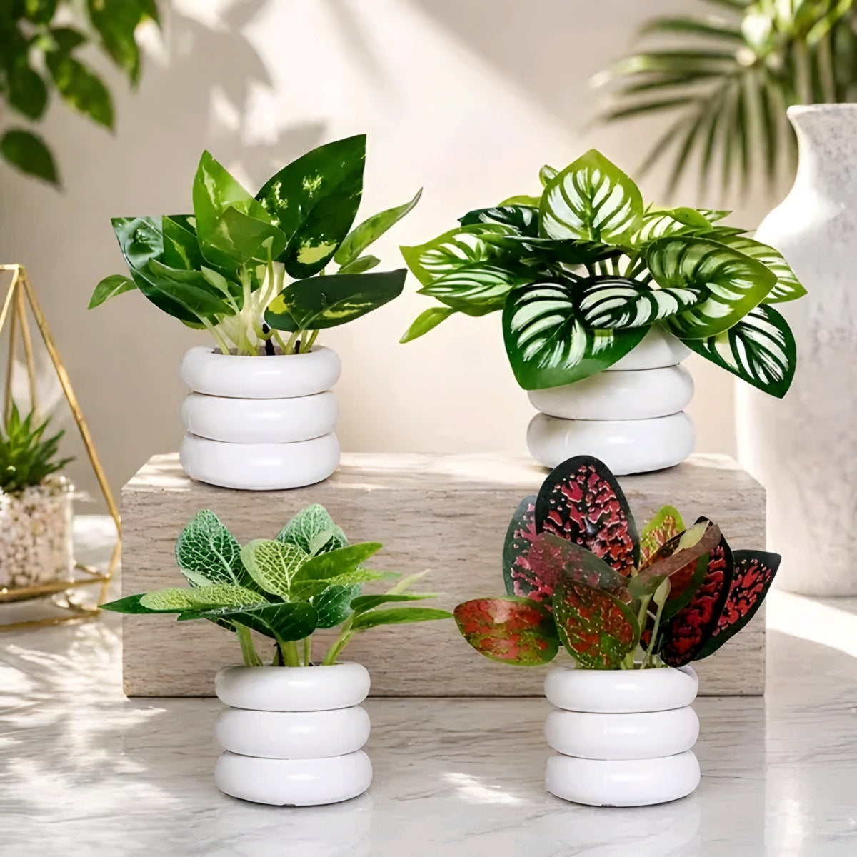 Realistic Artificial Tabletop Plants with Modern Ring-Pots (Set of 4)